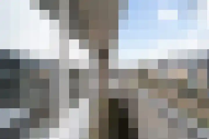 Doys van der Doesstraat 28 De Lier thumbnail 25