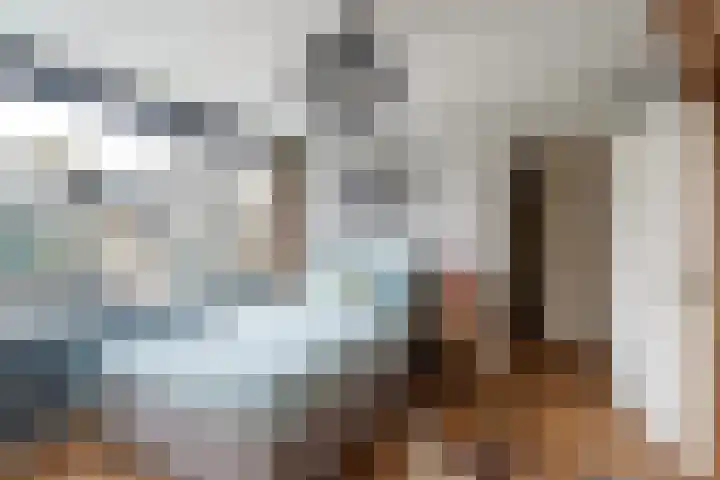 Doys van der Doesstraat 28 De Lier thumbnail 27