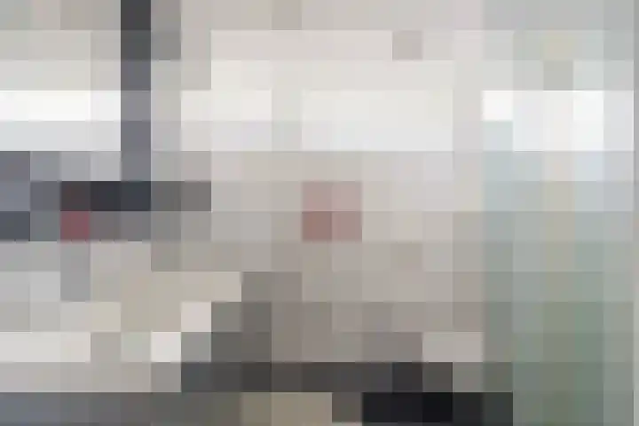 Doys van der Doesstraat 28 De Lier thumbnail 28