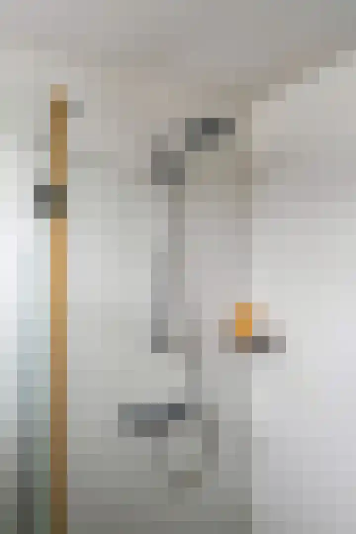 Doys van der Doesstraat 28 De Lier thumbnail 29