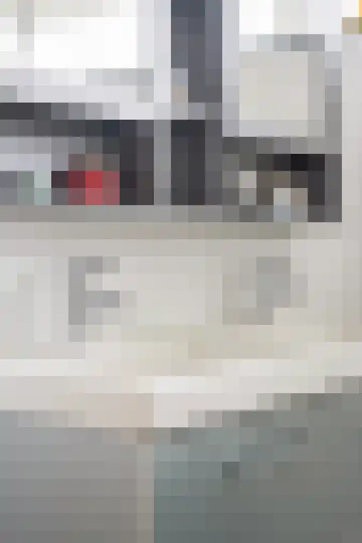 Doys van der Doesstraat 28 De Lier thumbnail 30