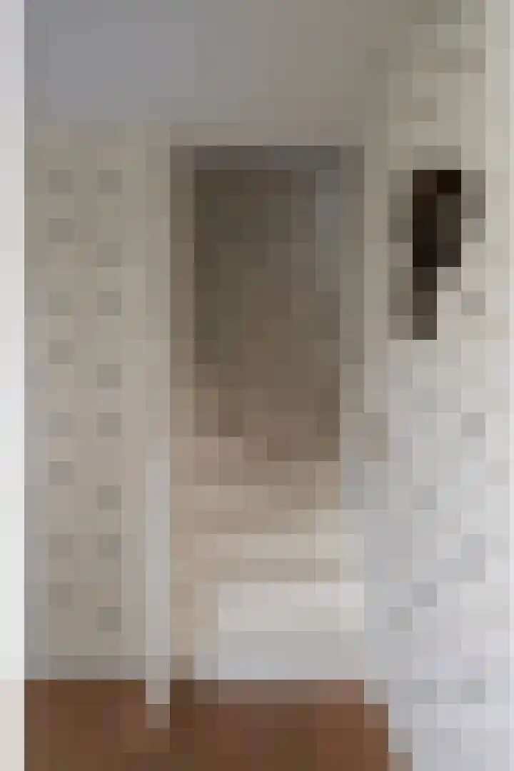 Doys van der Doesstraat 28 De Lier thumbnail 32