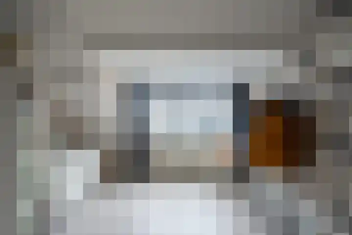 Doys van der Doesstraat 28 De Lier thumbnail 34