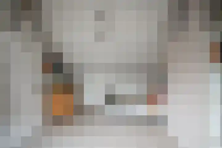 Doys van der Doesstraat 28 De Lier thumbnail 35