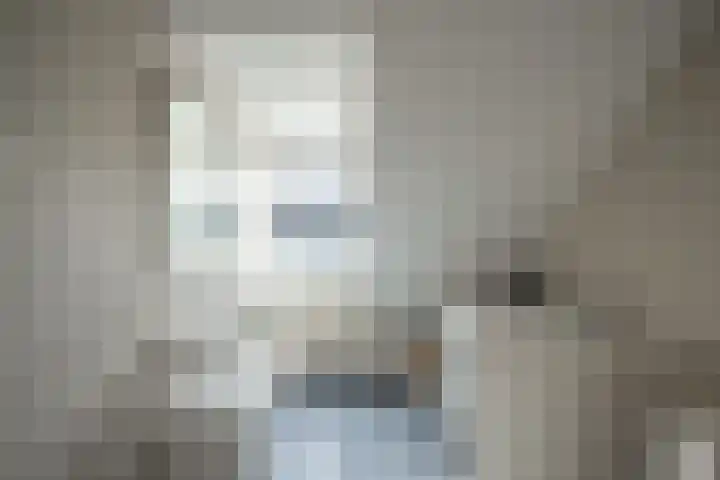 Doys van der Doesstraat 28 De Lier thumbnail 36