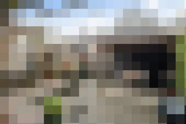 Doys van der Doesstraat 28 De Lier thumbnail 38