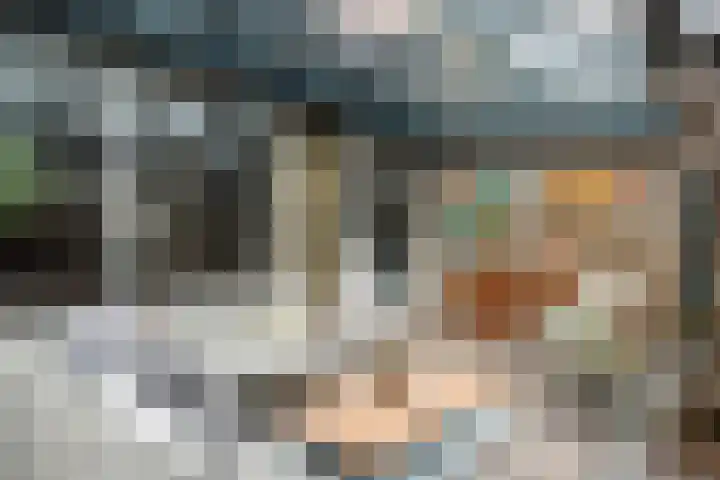 Doys van der Doesstraat 28 De Lier thumbnail 39