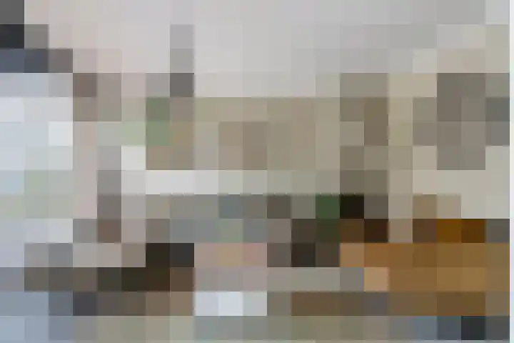 Doys van der Doesstraat 28 De Lier thumbnail 4