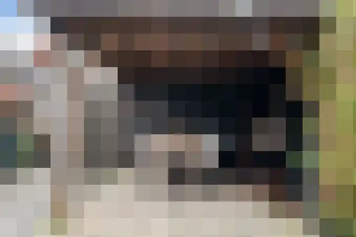 Doys van der Doesstraat 28 De Lier thumbnail 40