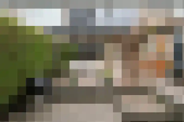 Doys van der Doesstraat 28 De Lier thumbnail 41