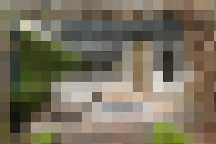 Doys van der Doesstraat 28 De Lier thumbnail 42