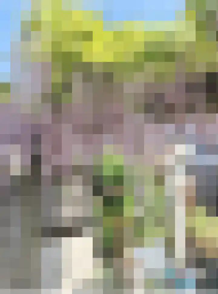 Doys van der Doesstraat 28 De Lier thumbnail 43