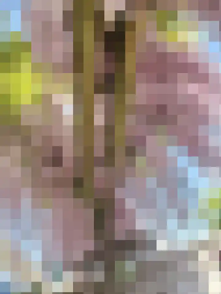 Doys van der Doesstraat 28 De Lier thumbnail 44