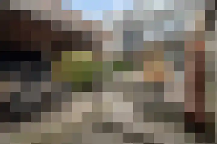 Doys van der Doesstraat 28 De Lier thumbnail 45