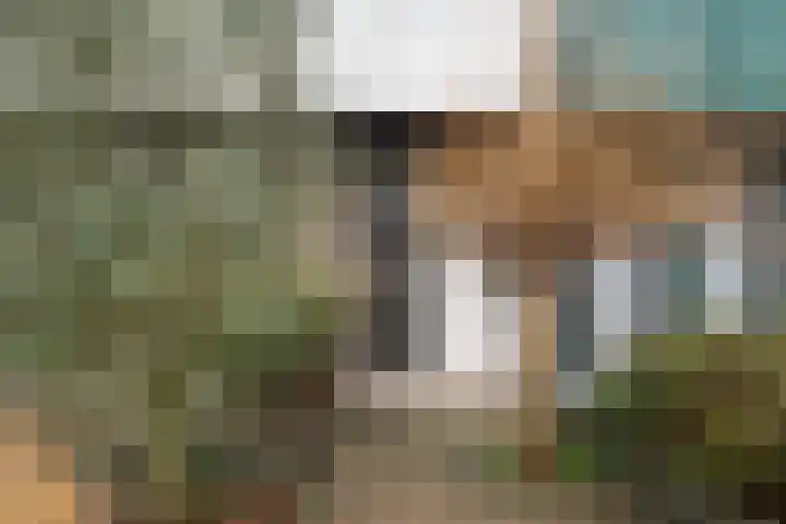 Doys van der Doesstraat 28 De Lier thumbnail 46