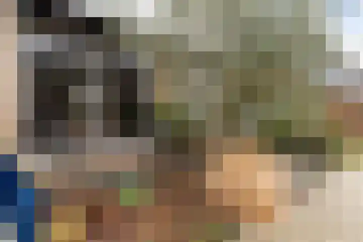 Doys van der Doesstraat 28 De Lier thumbnail 47