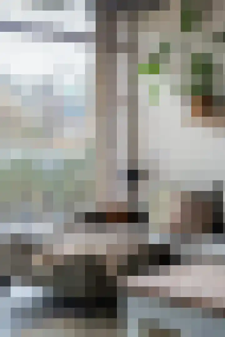 Doys van der Doesstraat 28 De Lier thumbnail 5