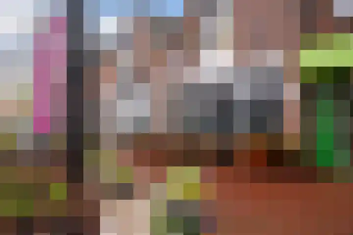 Doys van der Doesstraat 28 De Lier thumbnail 51