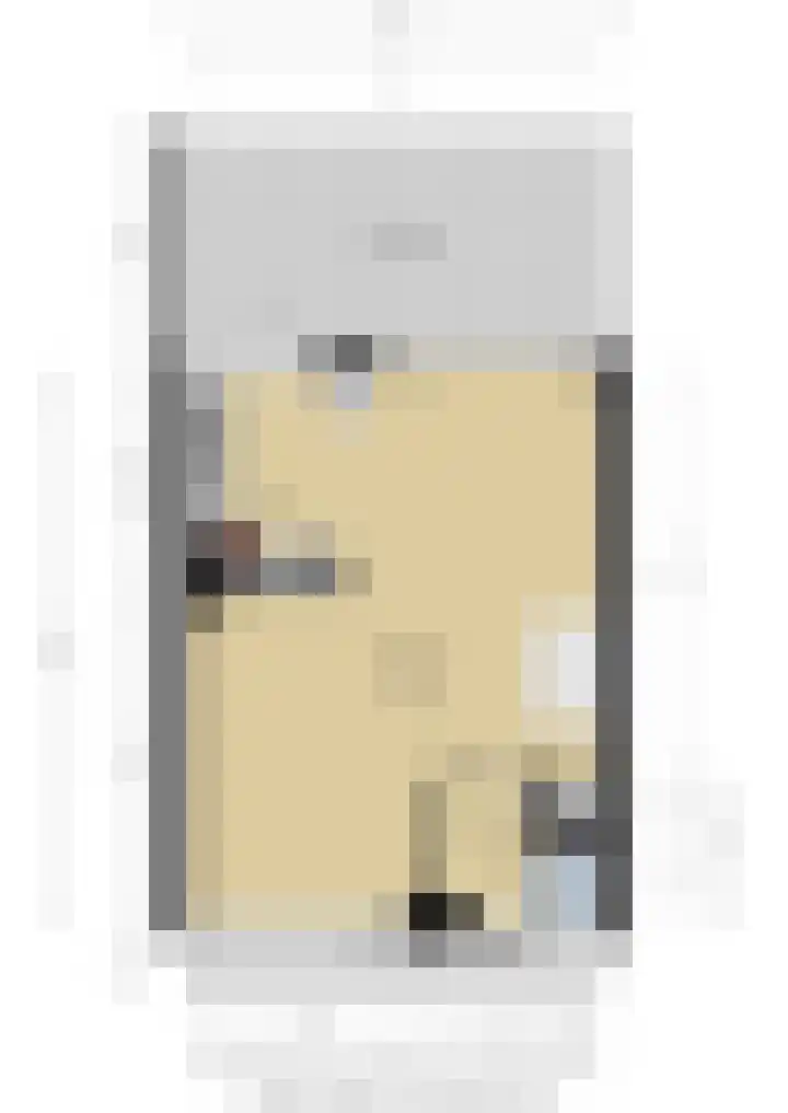 Doys van der Doesstraat 28 De Lier thumbnail 54