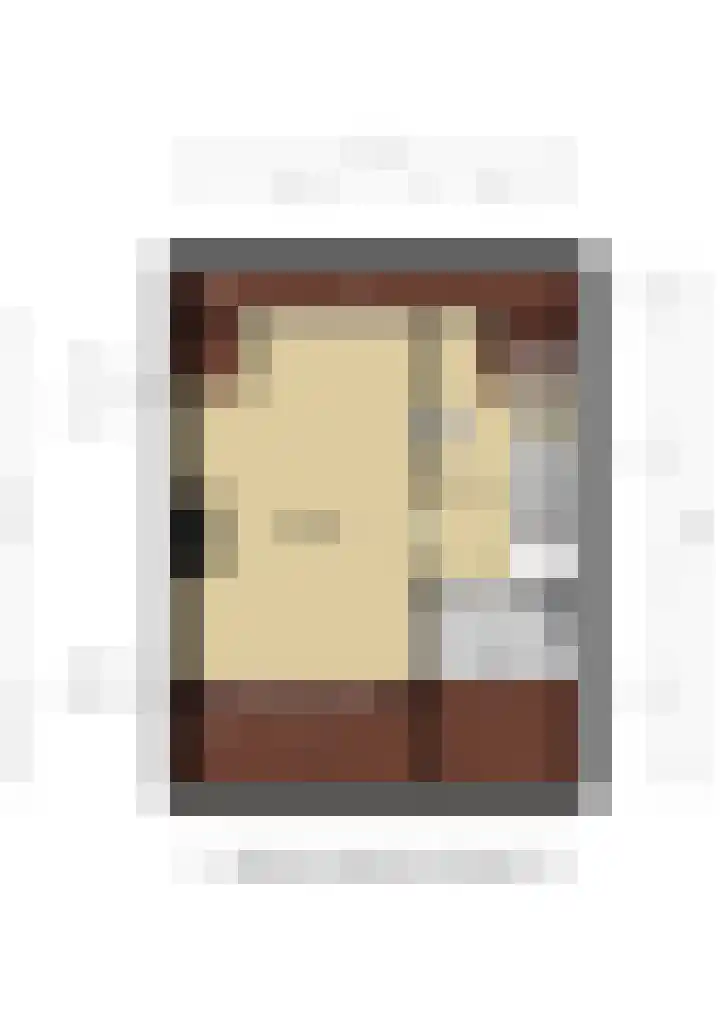 Doys van der Doesstraat 28 De Lier thumbnail 58