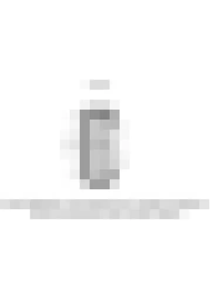 Doys van der Doesstraat 28 De Lier thumbnail 59