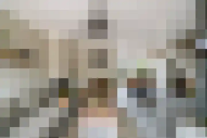 Doys van der Doesstraat 28 De Lier thumbnail 6