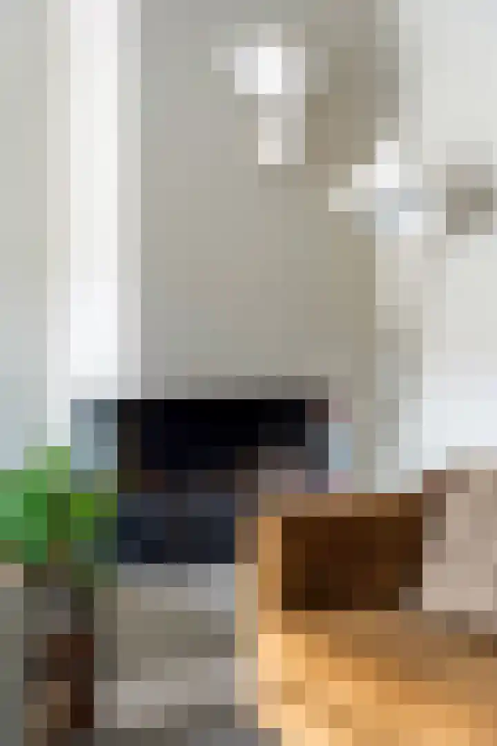 Doys van der Doesstraat 28 De Lier thumbnail 7