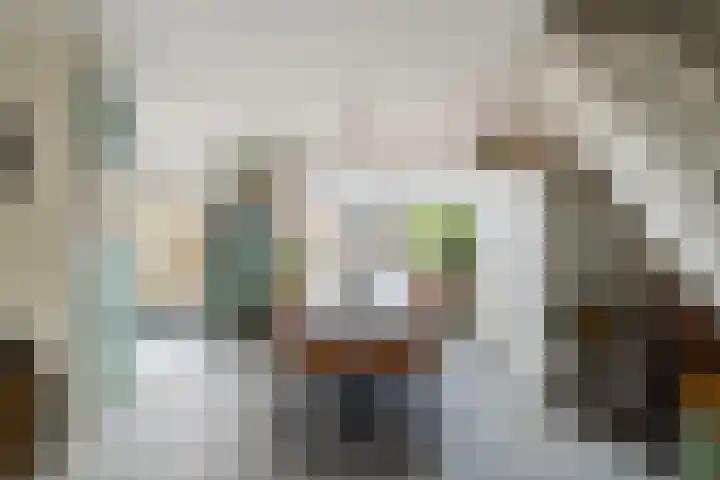 Doys van der Doesstraat 28 De Lier thumbnail 8