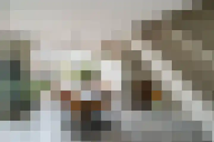 Doys van der Doesstraat 28 De Lier thumbnail 9