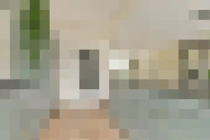 Doys van der Doesstraat 37 De Lier thumbnail 11