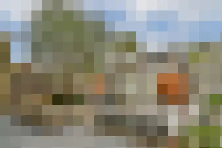 Doys van der Doesstraat 37 De Lier thumbnail 12
