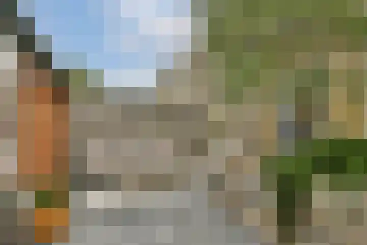 Doys van der Doesstraat 37 De Lier thumbnail 14