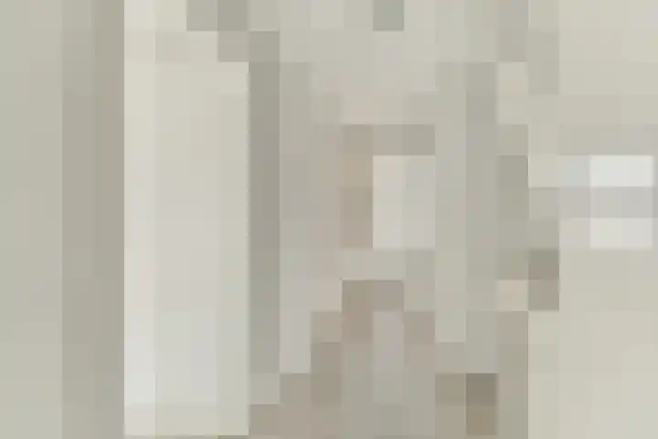Doys van der Doesstraat 37 De Lier thumbnail 15