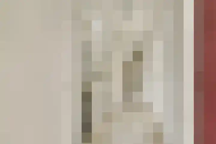 Doys van der Doesstraat 37 De Lier thumbnail 16