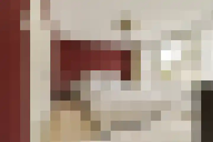 Doys van der Doesstraat 37 De Lier thumbnail 17