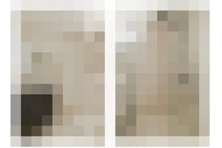Doys van der Doesstraat 37 De Lier thumbnail 19