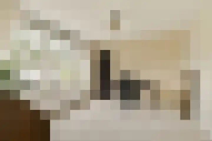 Doys van der Doesstraat 37 De Lier thumbnail 21