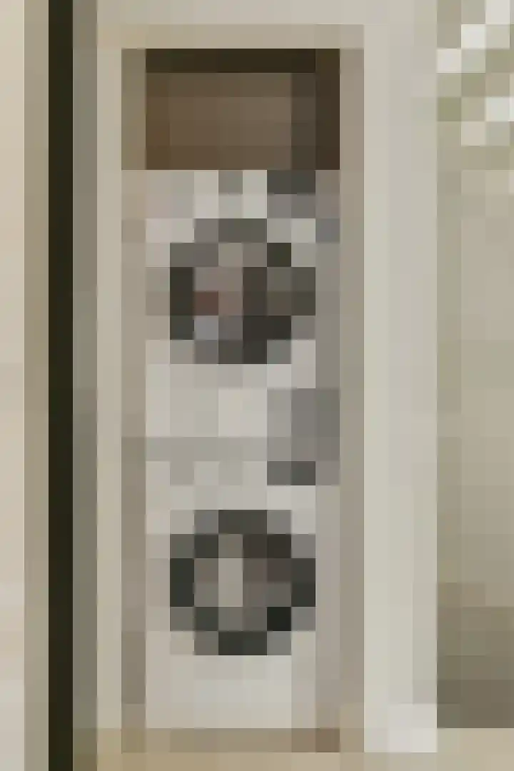 Doys van der Doesstraat 37 De Lier thumbnail 23