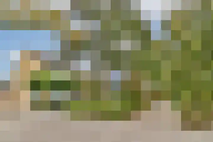 Doys van der Doesstraat 37 De Lier thumbnail 27