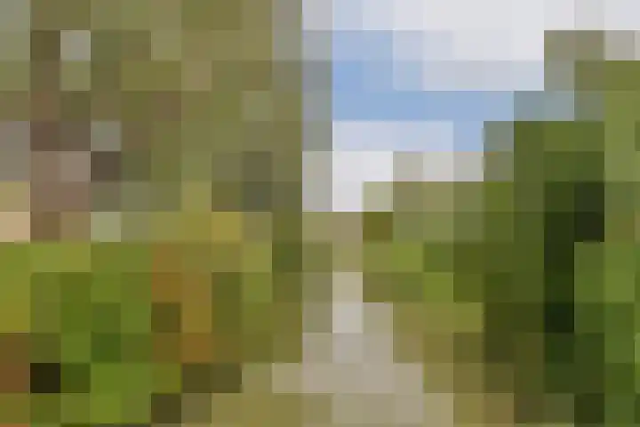 Doys van der Doesstraat 37 De Lier thumbnail 29
