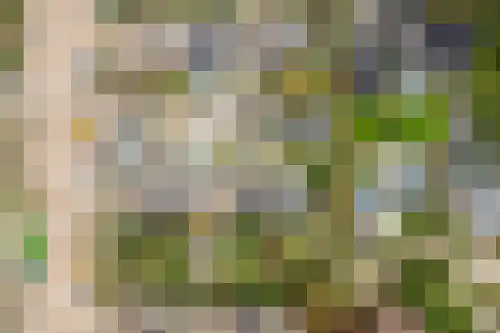 Doys van der Doesstraat 37 De Lier thumbnail 30