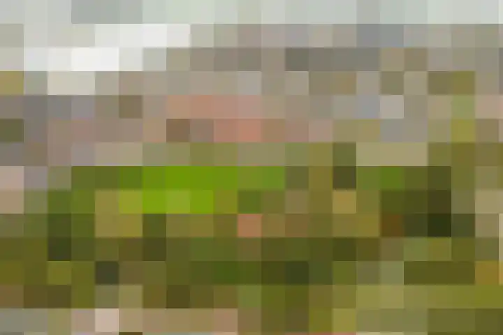 Doys van der Doesstraat 37 De Lier thumbnail 31