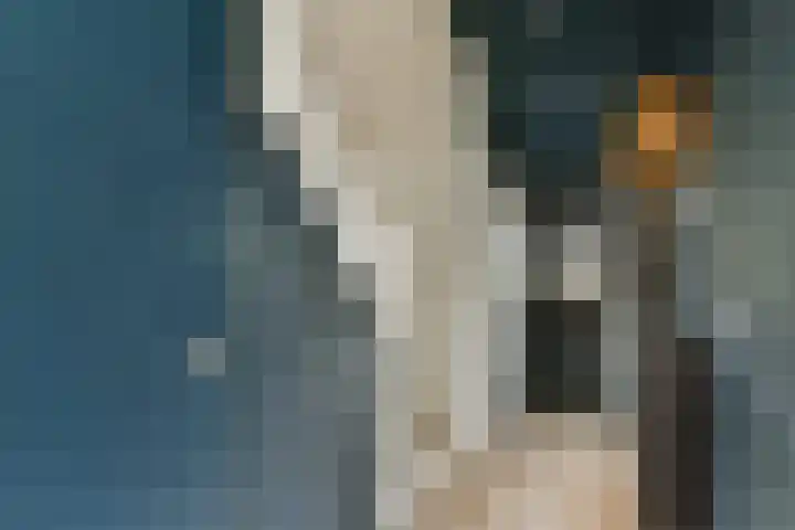 Doys van der Doesstraat 37 De Lier thumbnail 6
