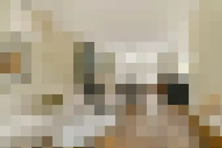 Doys van der Doesstraat 37 De Lier thumbnail 9