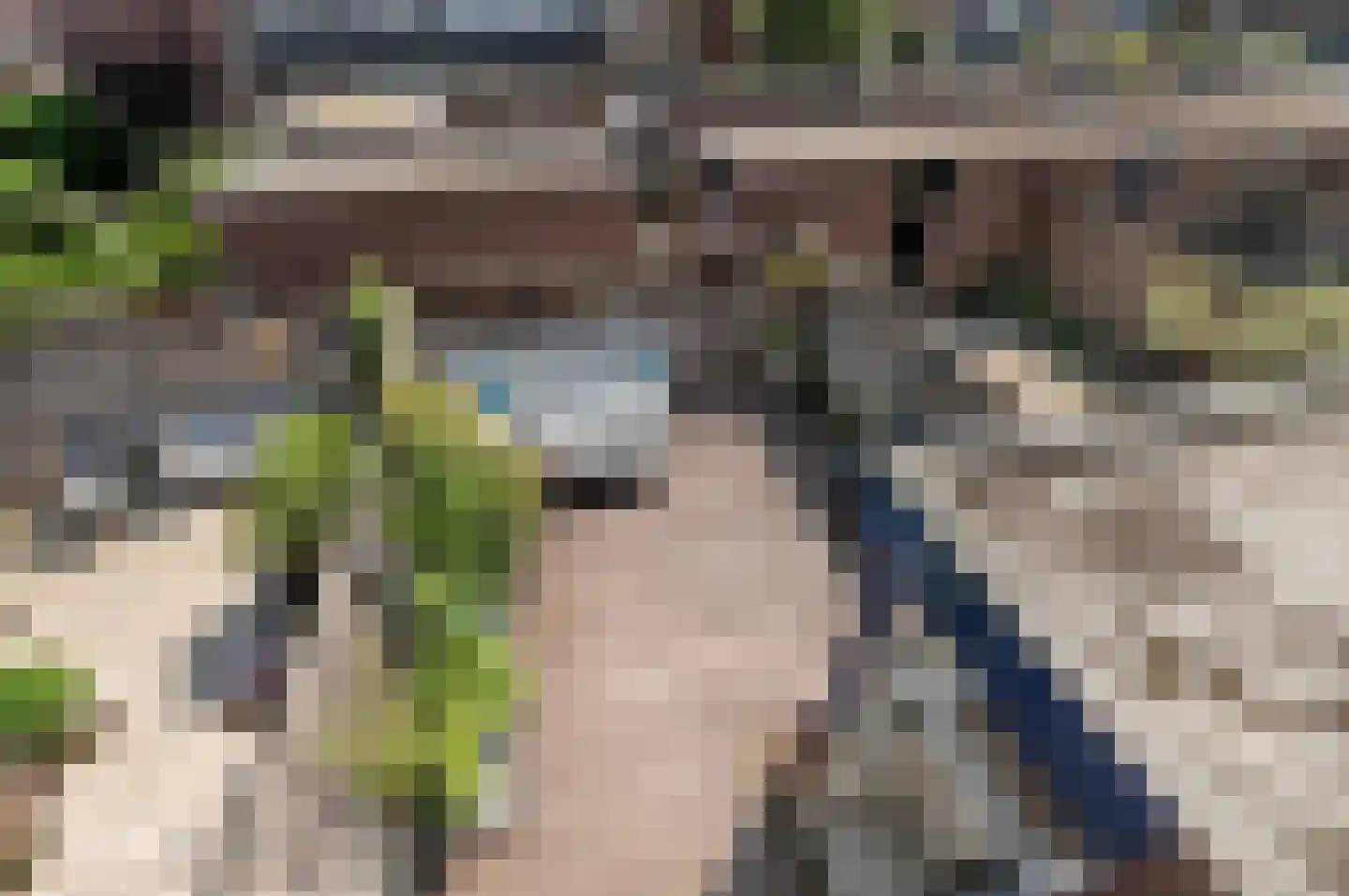 Dr. A. Brediusstraat 25 Den Haag thumbnail 32