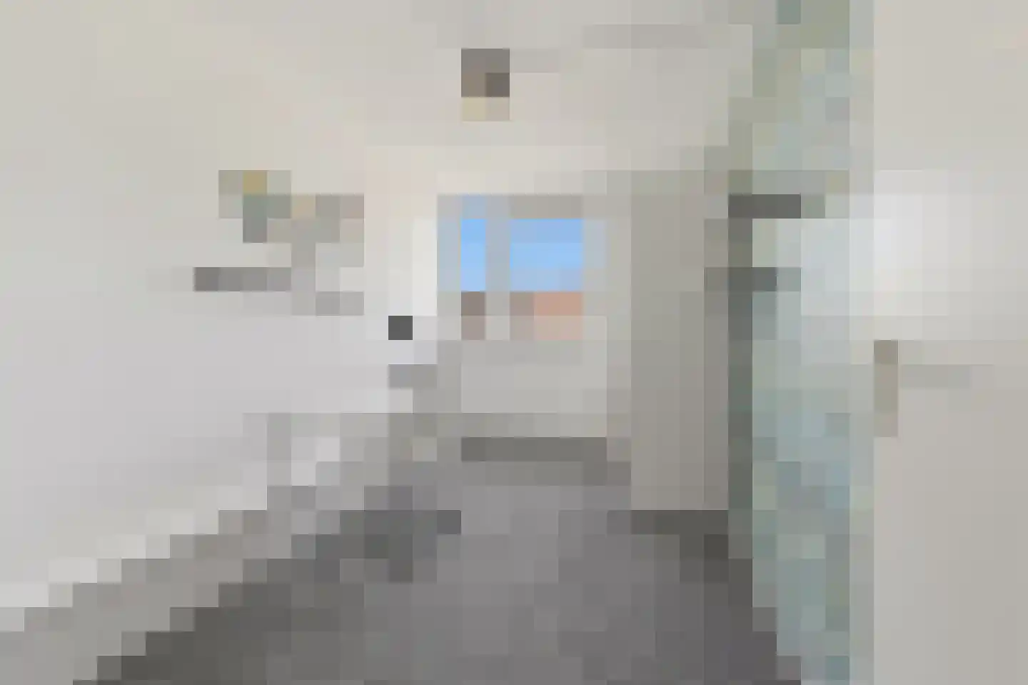 Dr. A. Brediusstraat 25 Den Haag thumbnail 35