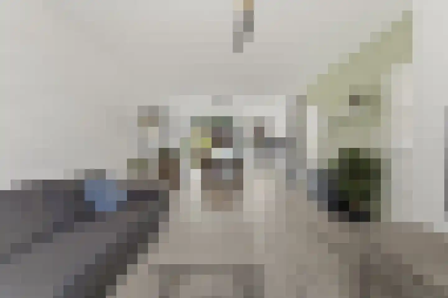 Dr. A. Brediusstraat 25 Den Haag thumbnail 9