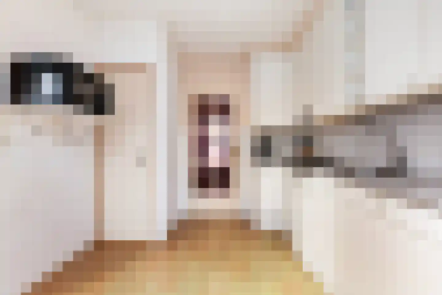 Dr. A. de Haanstraat 10 Oud-Alblas thumbnail 12