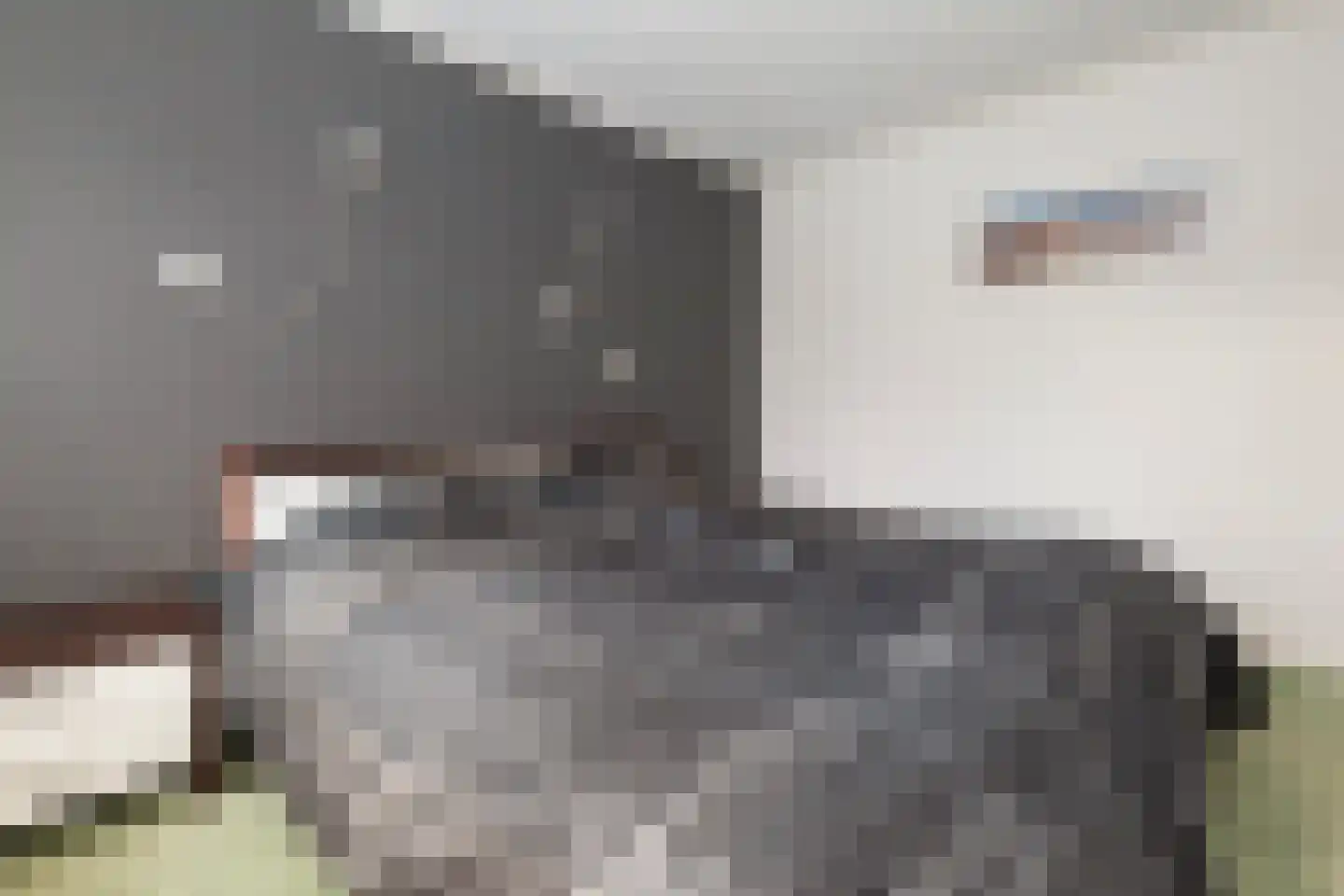 Dr. A. de Haanstraat 10 Oud-Alblas thumbnail 17