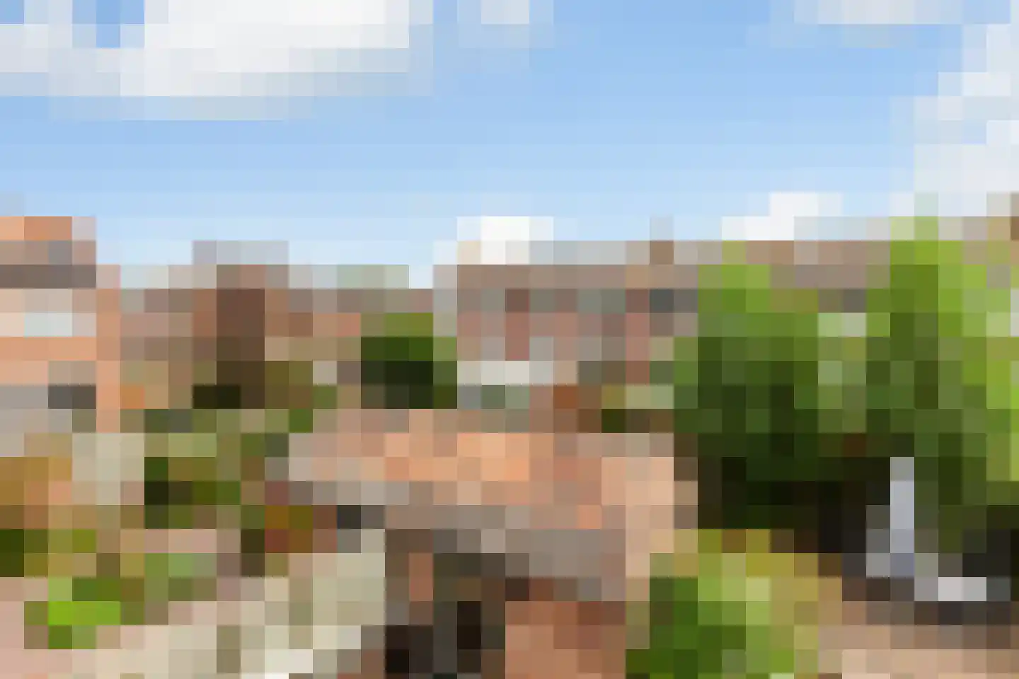 Dr. A. de Haanstraat 10 Oud-Alblas thumbnail 35